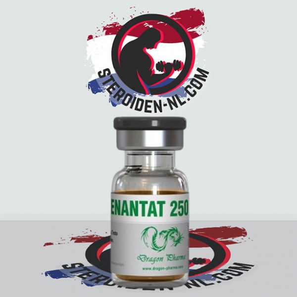 Enanthat 250 10 ampoules kopen online in Nederland - steroiden-nl.net