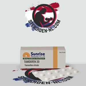 TAMOXIFEN 20mg kopen online in Nederland - steroiden-nl.net