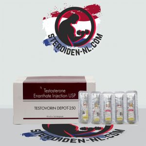 TESTOVORIN DEPOT-250 10 ampoules kopen online in Nederland - steroiden-nl.net